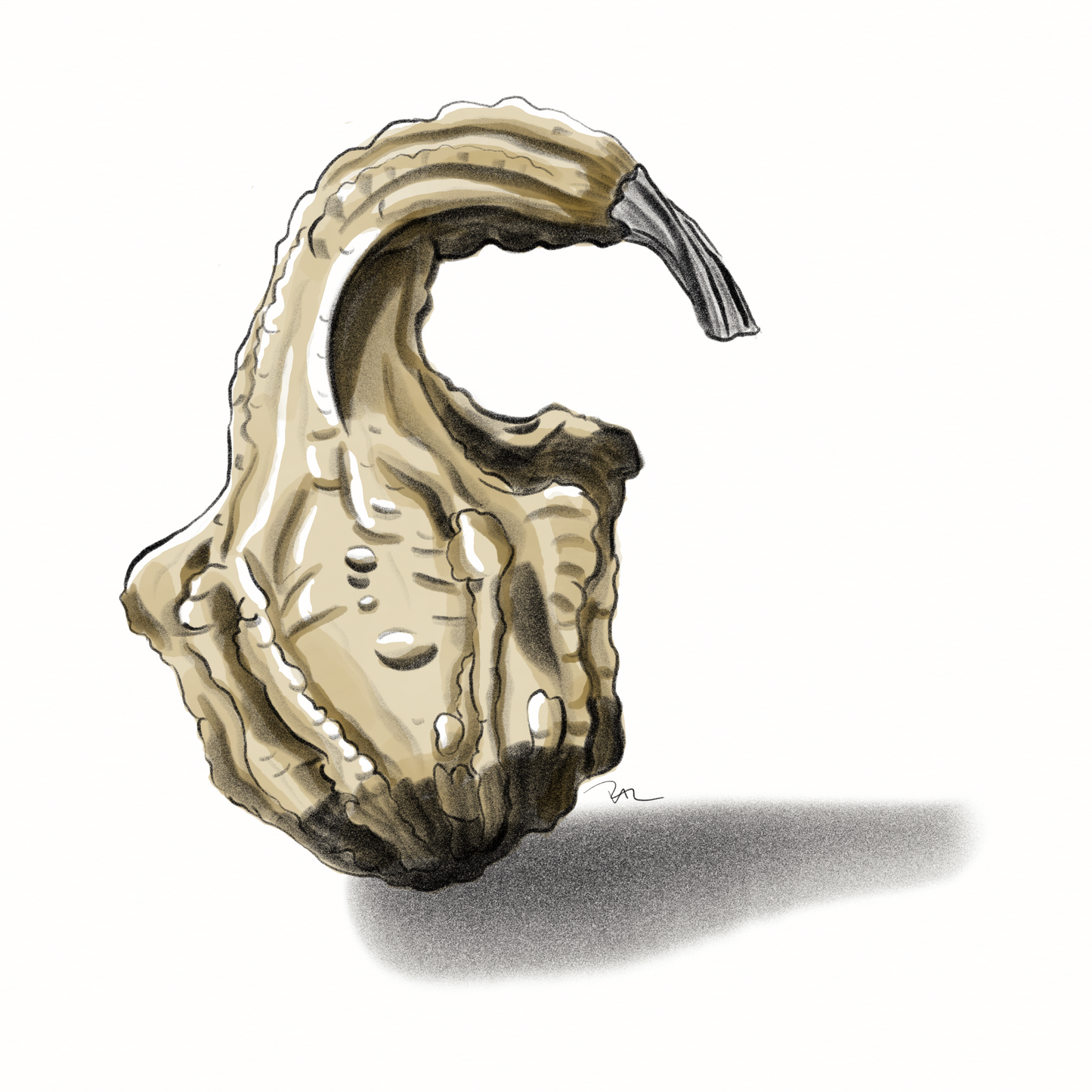 Gourd Sketch Print