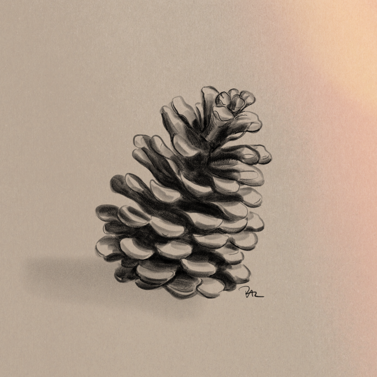Pinecone Print