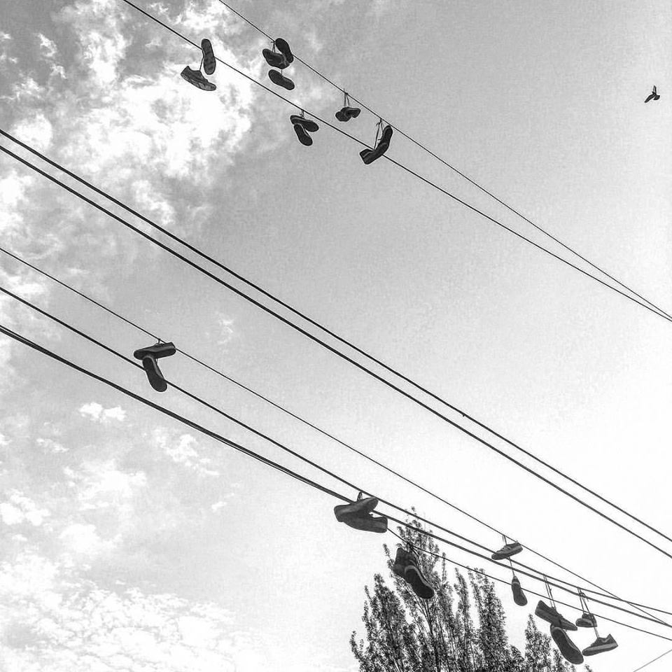 Dangling Shoes Print