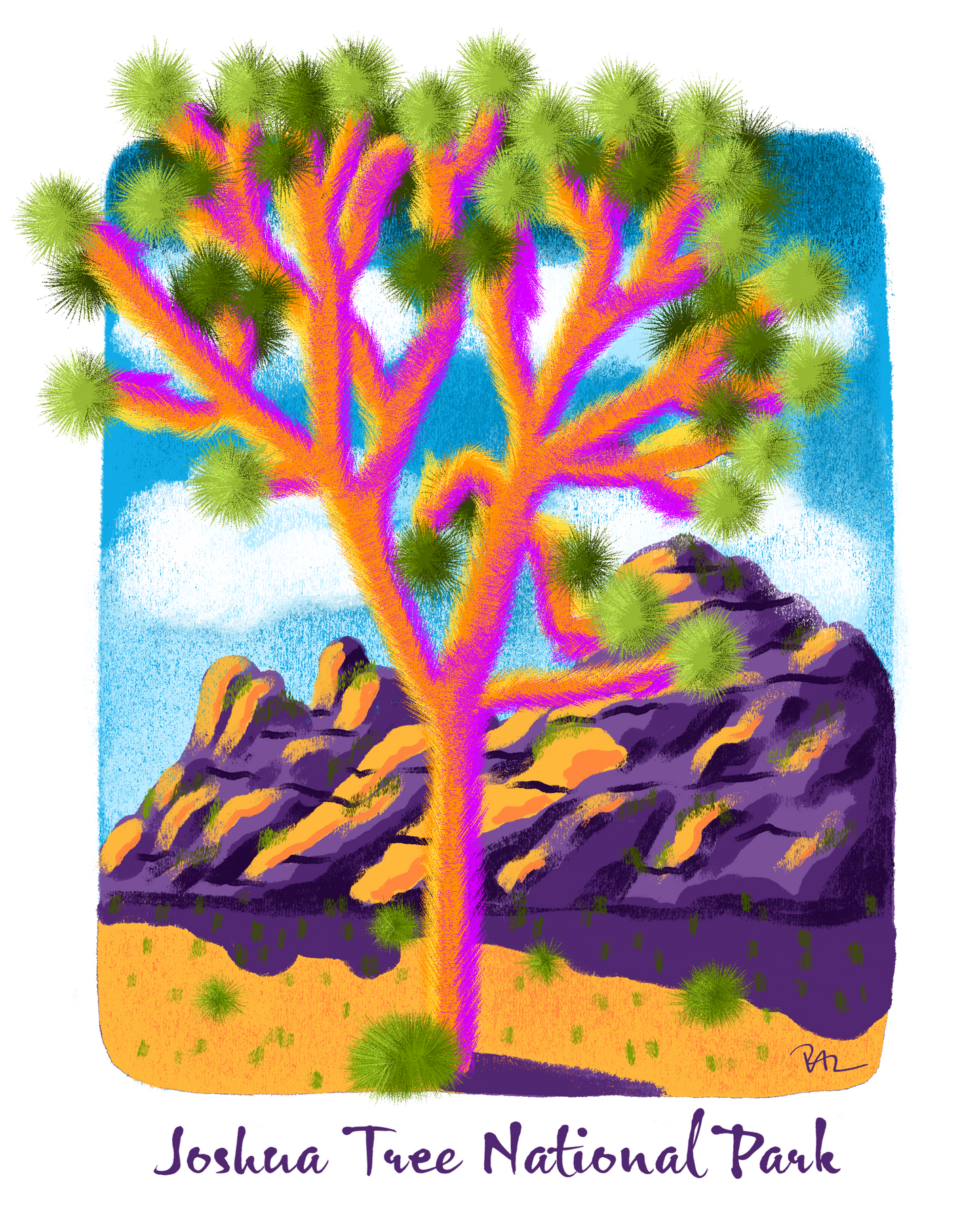 Joshua Tree Postcard