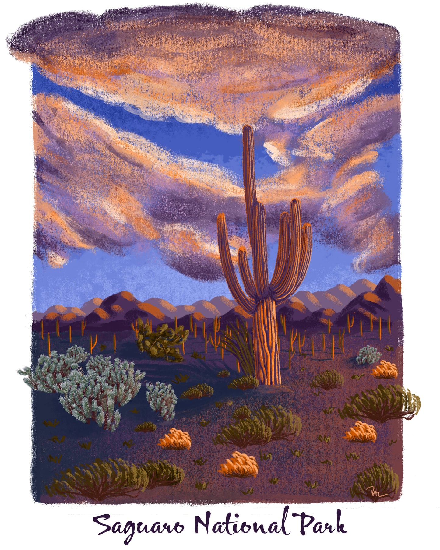 Saguaro NP Postcard