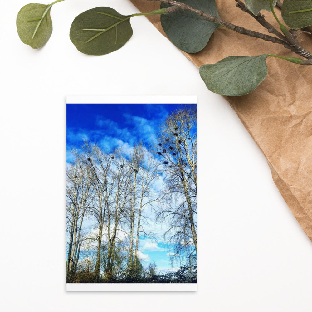 Heron Nests - Postcard