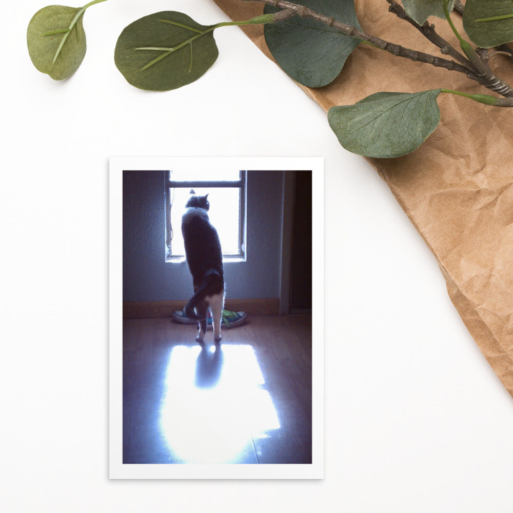 Curiosity - Postcard