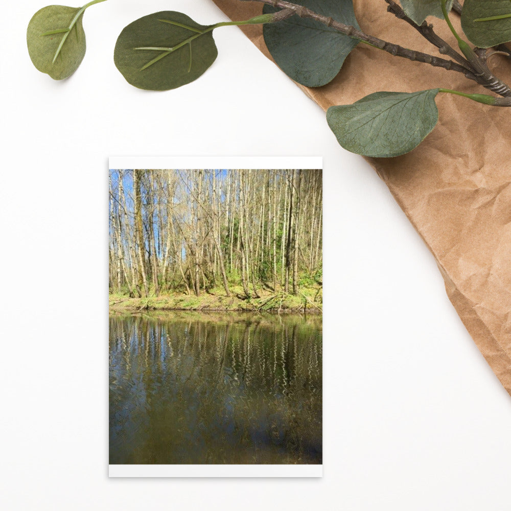 Ripples - Postcard