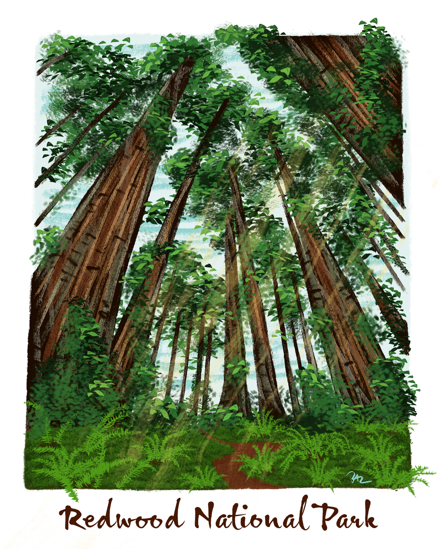 Redwood National Park Print