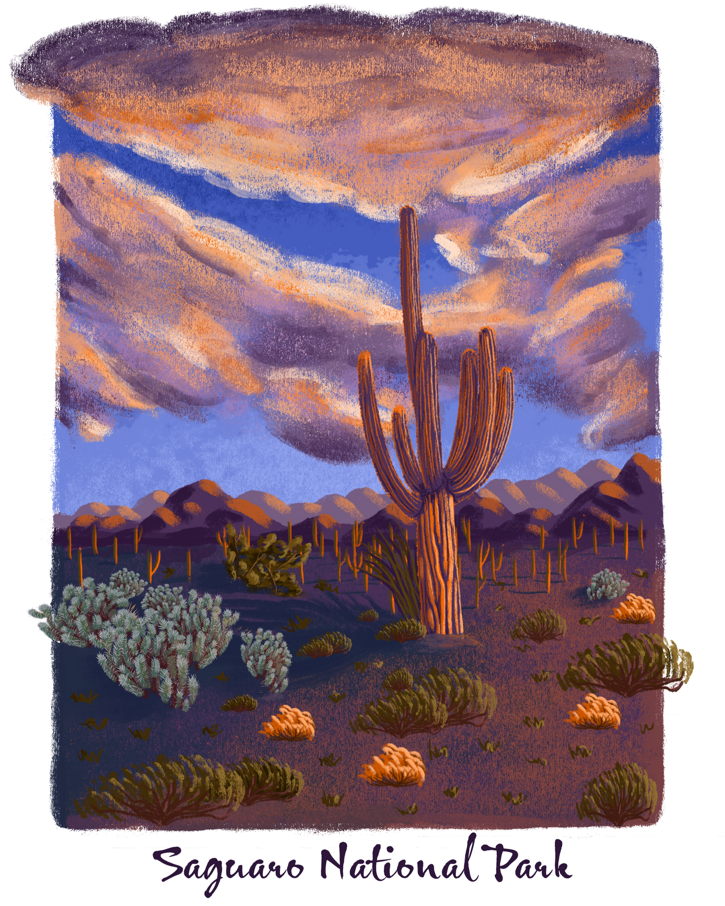 Saguaro National Park Print