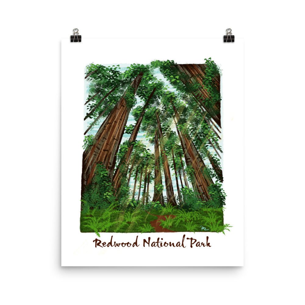 Redwood National Park Print