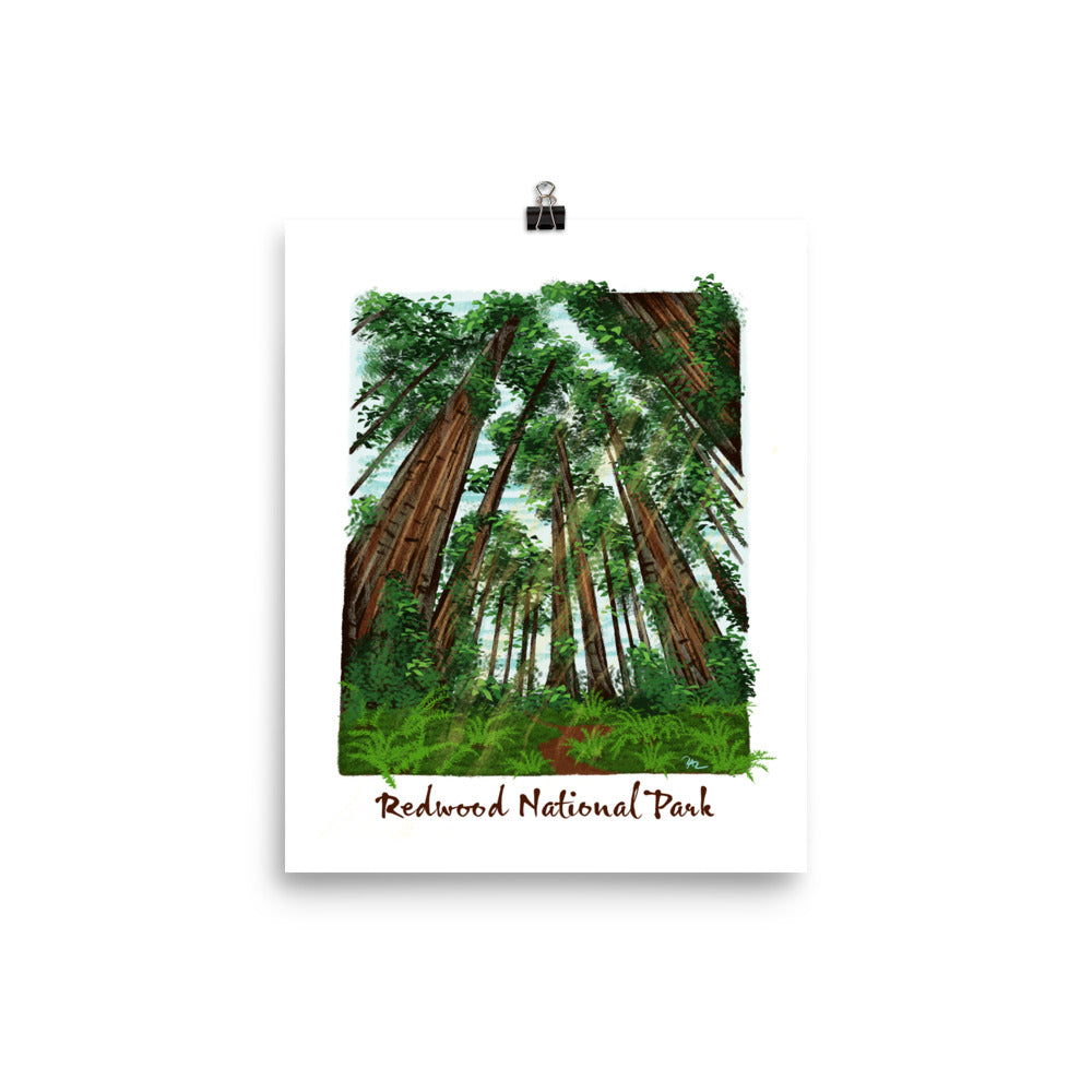 Redwood National Park Print