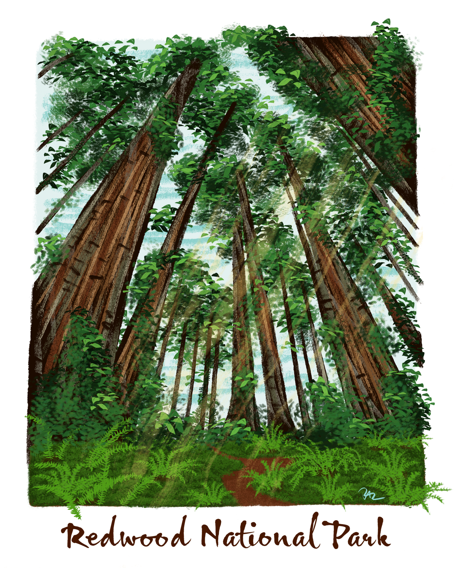 Redwoods - Eco Tote Bag